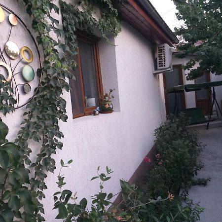 툴체아 Casa Calin 빌라 외부 사진