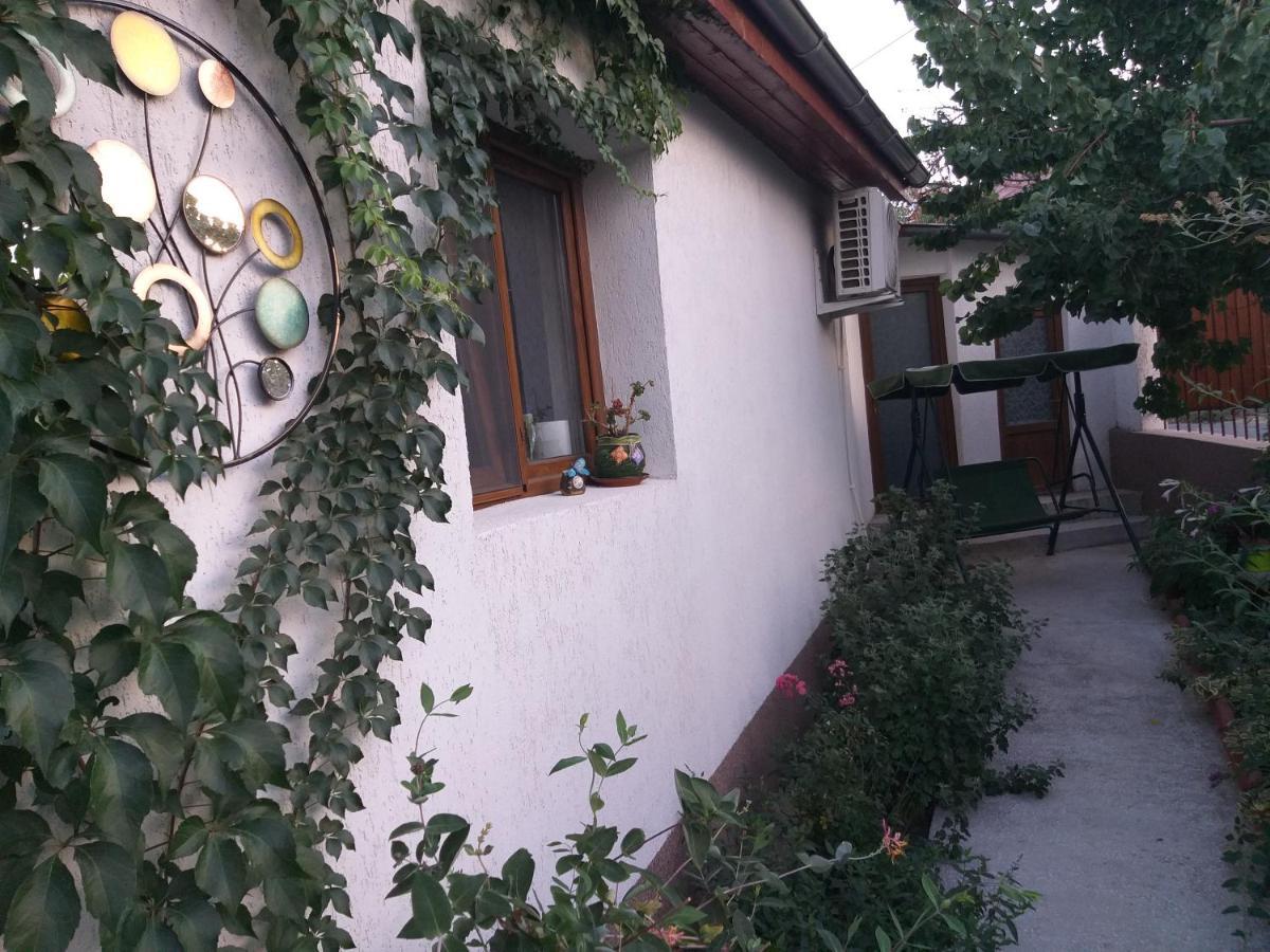 툴체아 Casa Calin 빌라 외부 사진
